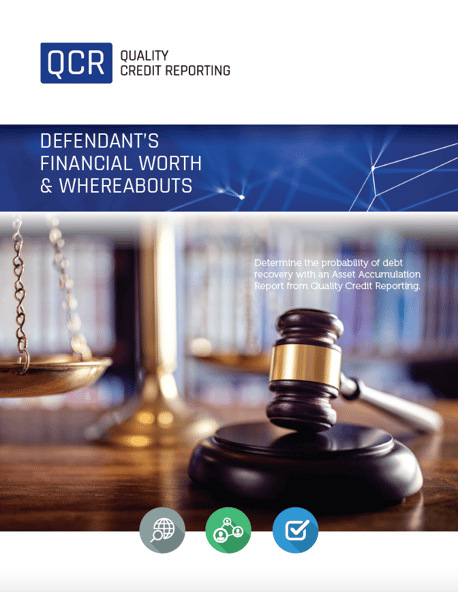 Defendant Financial Worth Report