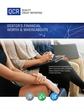 Debtors Financial Worth Report Flyer
