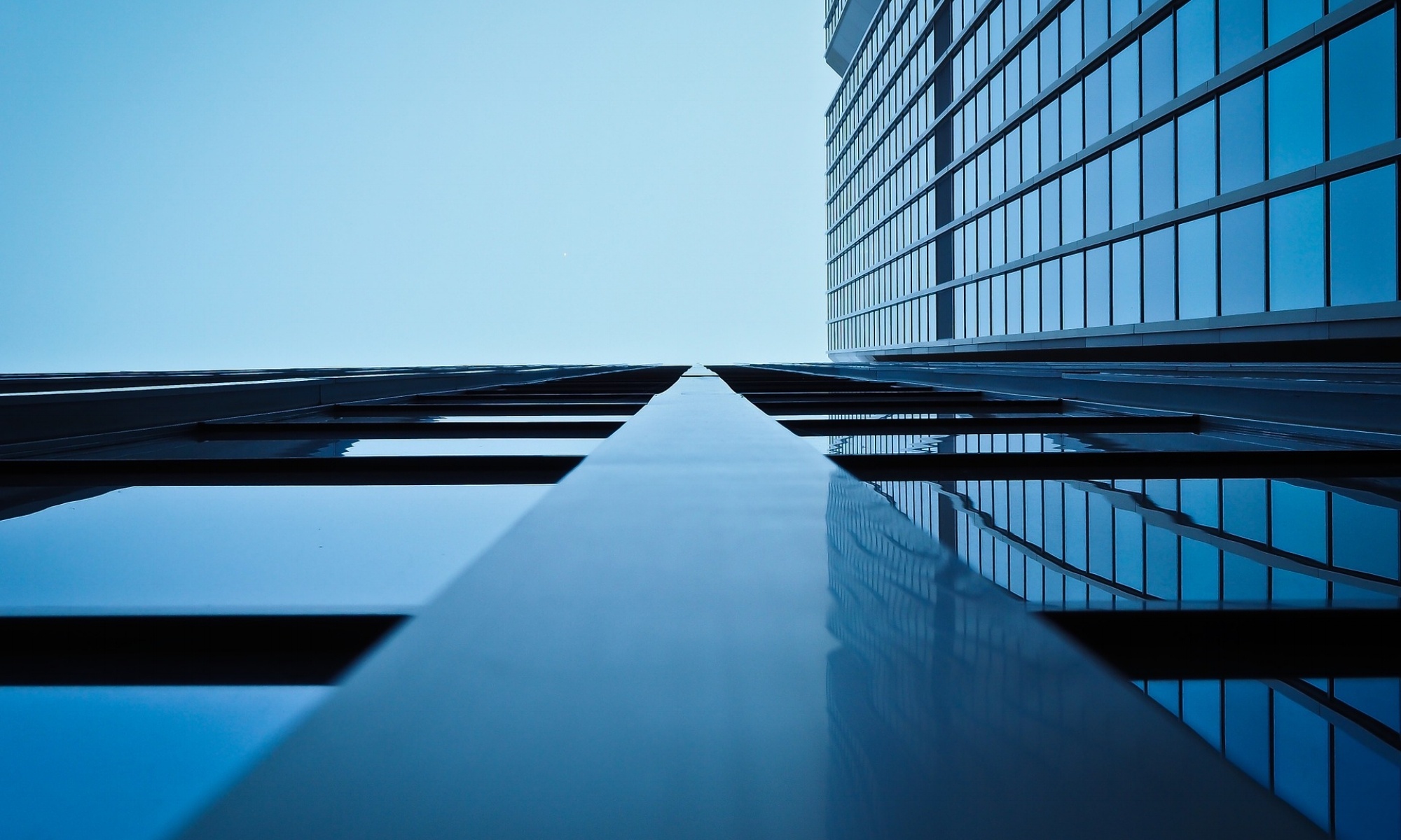 Are You Using In-Depth Investigative Credit Reports In All Aspects Of Your Business?
